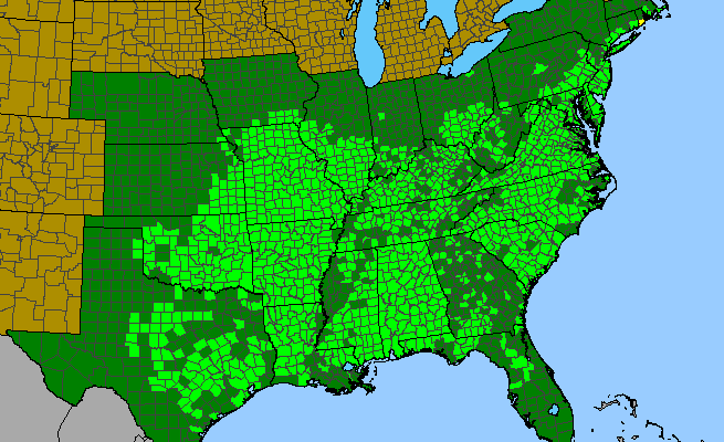 The range of Quercus stellata